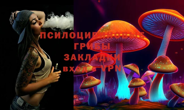mdpv Волоколамск