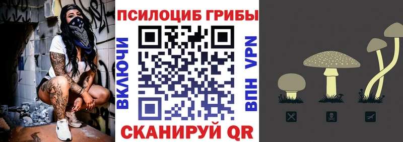 Галлюциногенные грибы MAGIC MUSHROOMS  Махачкала 